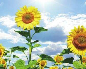 治好白癜风要几个月的时间